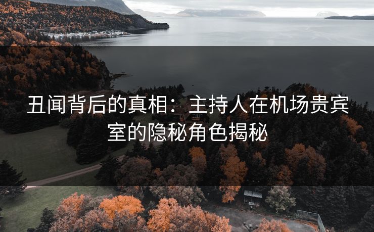 丑闻背后的真相：主持人在机场贵宾室的隐秘角色揭秘
