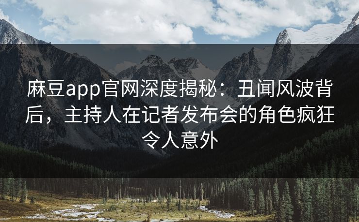 麻豆app官网深度揭秘：丑闻风波背后，主持人在记者发布会的角色疯狂令人意外