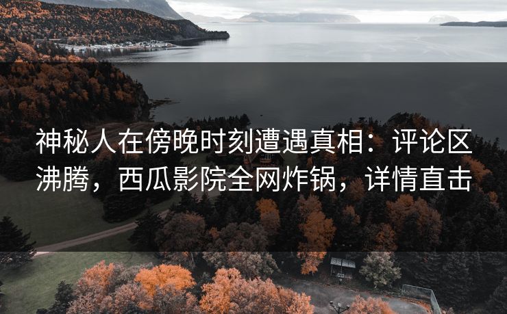 神秘人在傍晚时刻遭遇真相：评论区沸腾，西瓜影院全网炸锅，详情直击